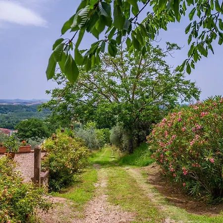 GuestHost - La Serra Vitignano - Villa with Pool * Castelnuovo Berardenga